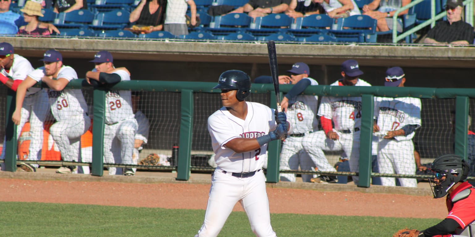 Roanoke Rippers Scrappers Walk Renegades Off on Sunday | MiLB.com