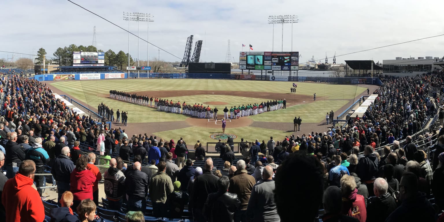 Marlins Park protective netting to be expanded