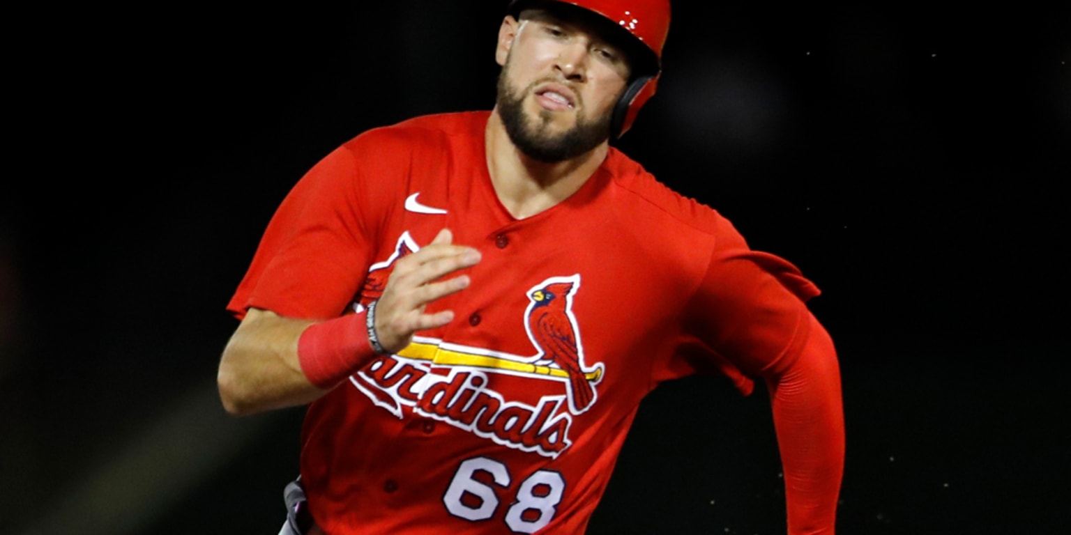 Prospects in the Cardinals&#39; 2020 player pool | 0