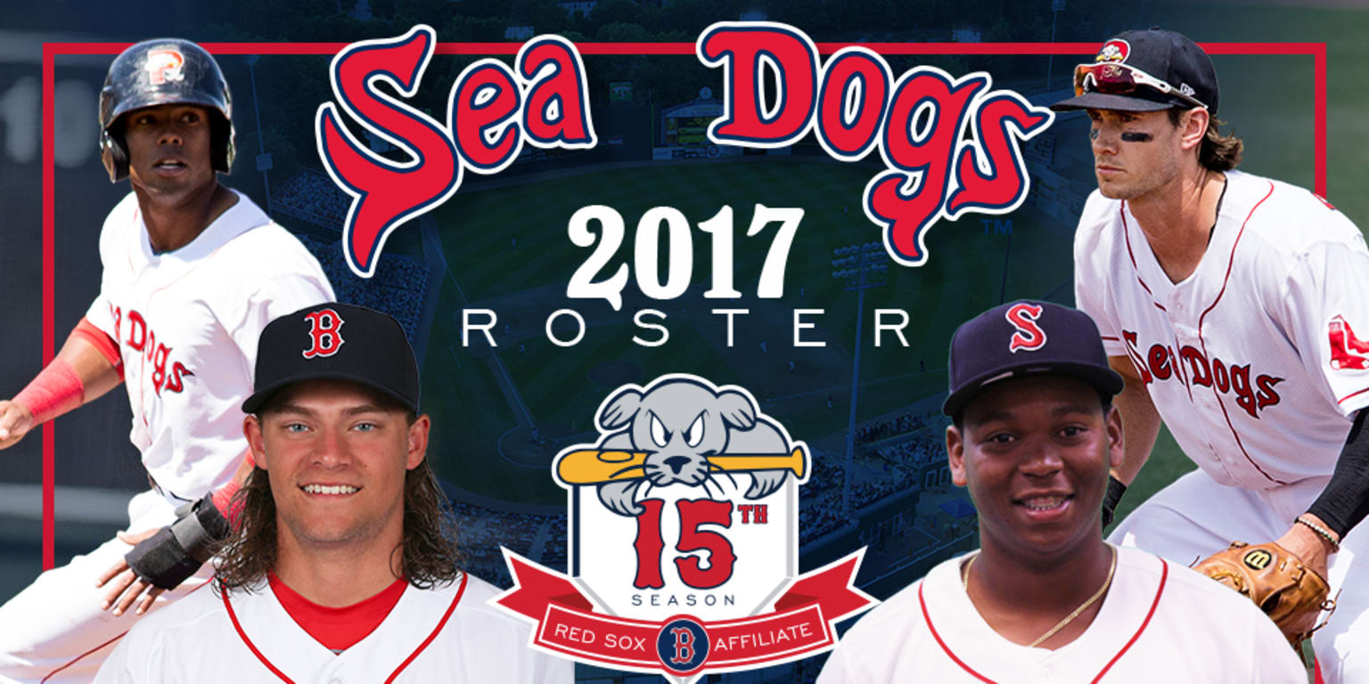 Let's meet the team! 2017 Preliminary Roster Announced | MiLB.com