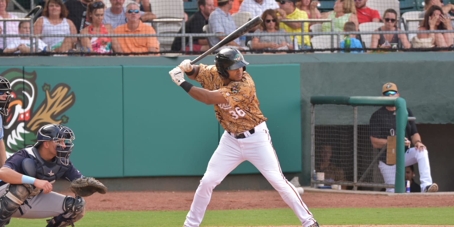 Wood Ducks Smash Their Way to Victory