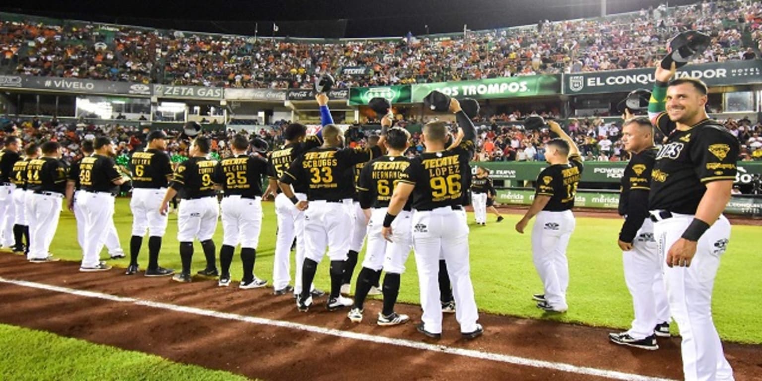 La afición de Leones lo confirma, en Yucatán el beisbol es el rey 