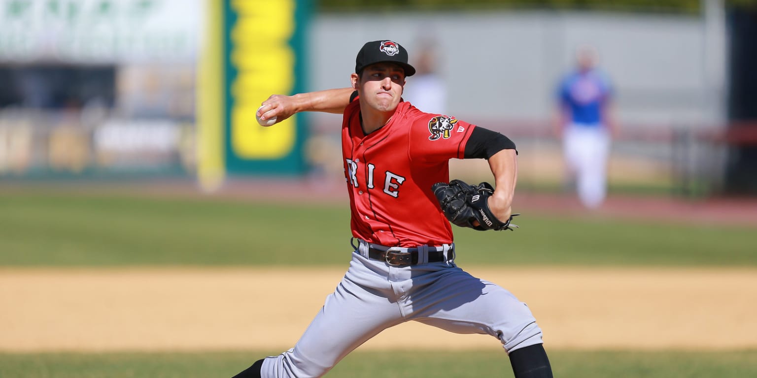 Detroit Tigers prospect Paul Voelker suspended | MiLB.com