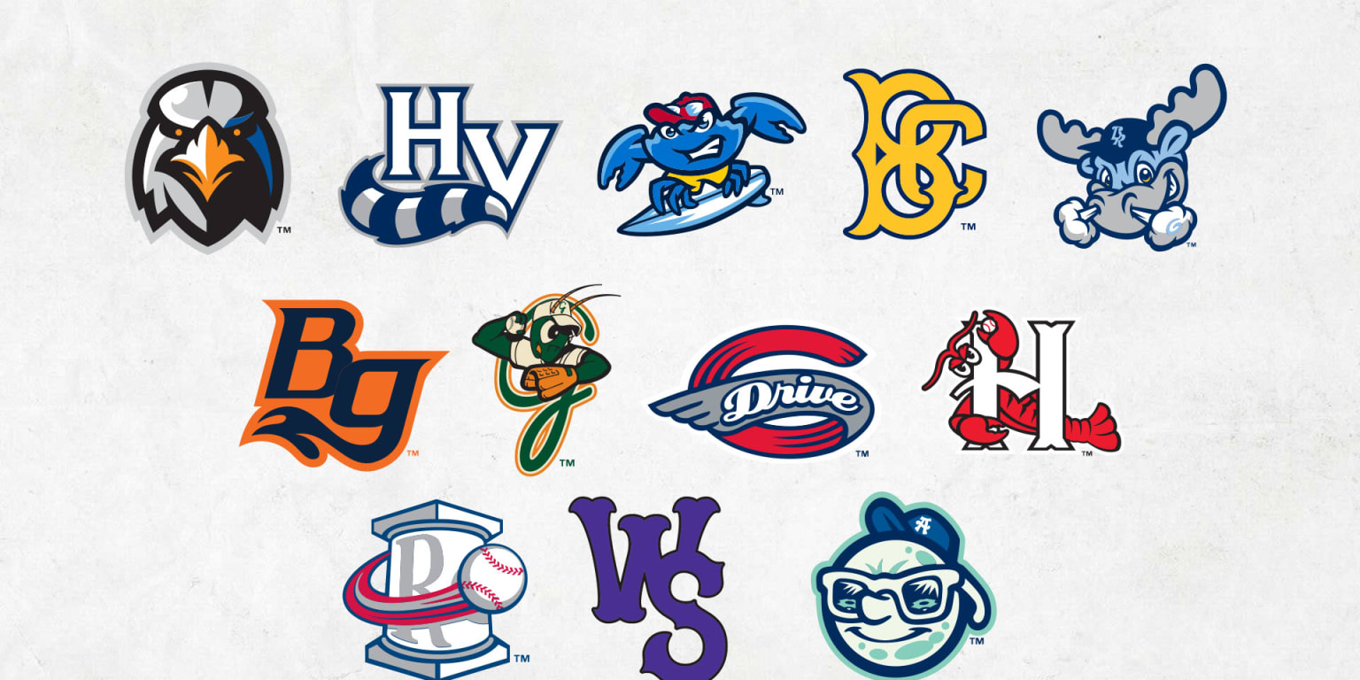 Get to know the Minor League teams in the HighA East  MiLBcom