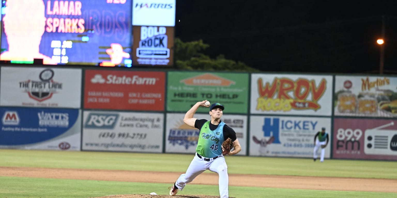 reggy baseball mascot shorebirds