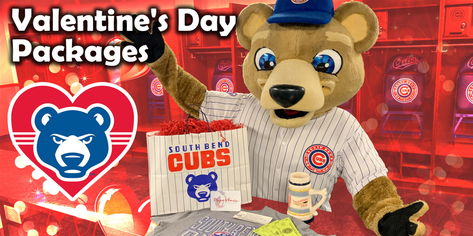 2015 Iowa Cubs Cubbie Bear Mascot