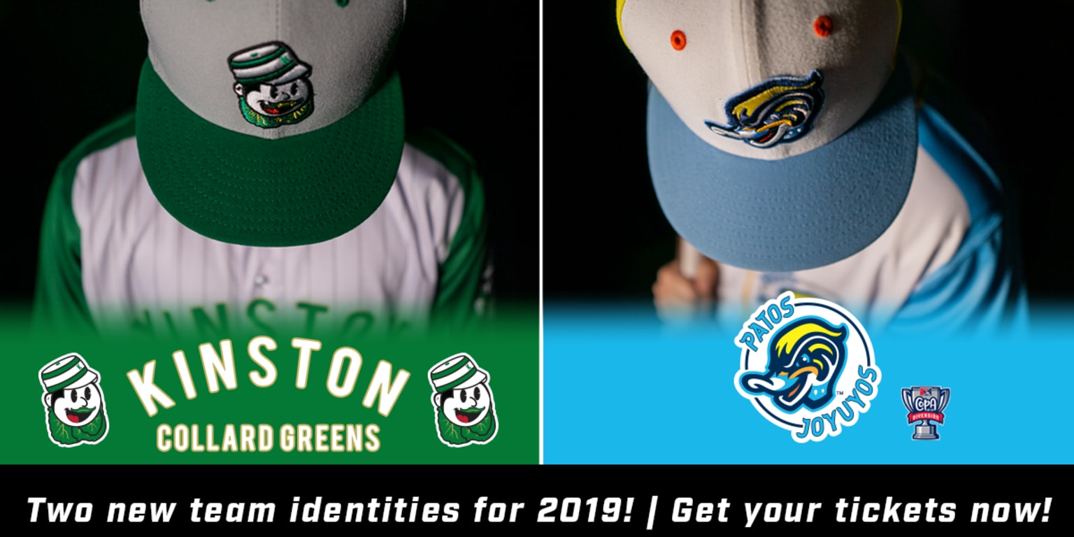 Announcing New Alternate Identities for the 2019 season! Wood Ducks