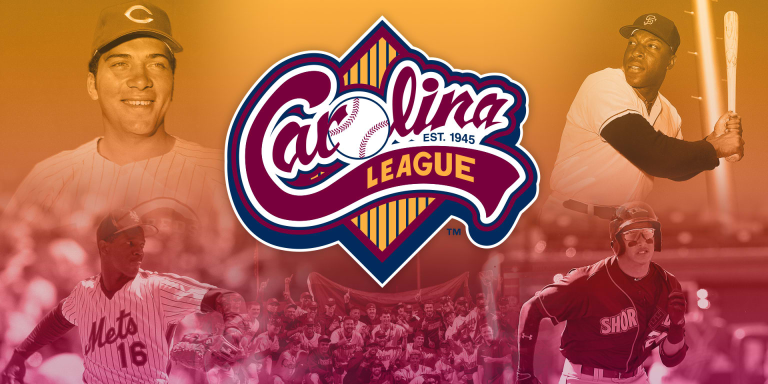 Minor League Baseball Teams in North Carolina  VisitNCcom