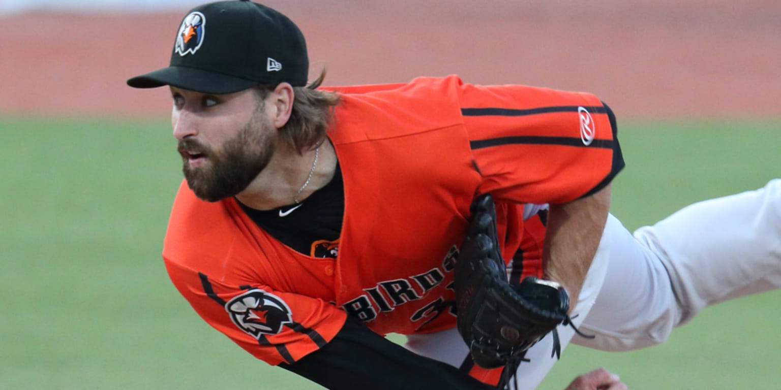 Garrett Stallings Morgan McSweeney combine on Baysox no-hitter - Vimarsana News