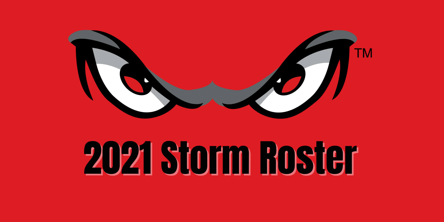 Lake Elsinore Storm Schedule 2022 2021 Roster Announcement | Storm