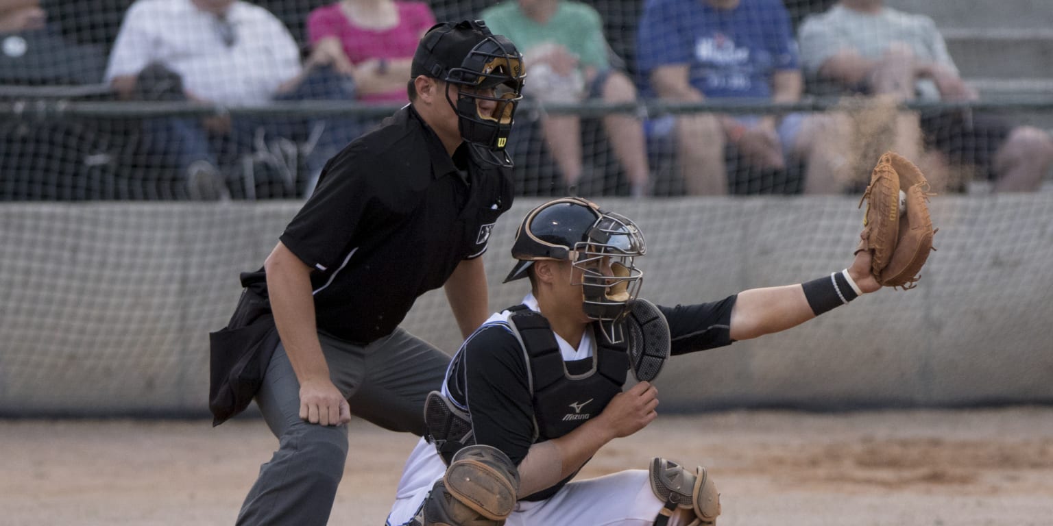 Late Rally Falls Short in Series Opener | MiLB.com