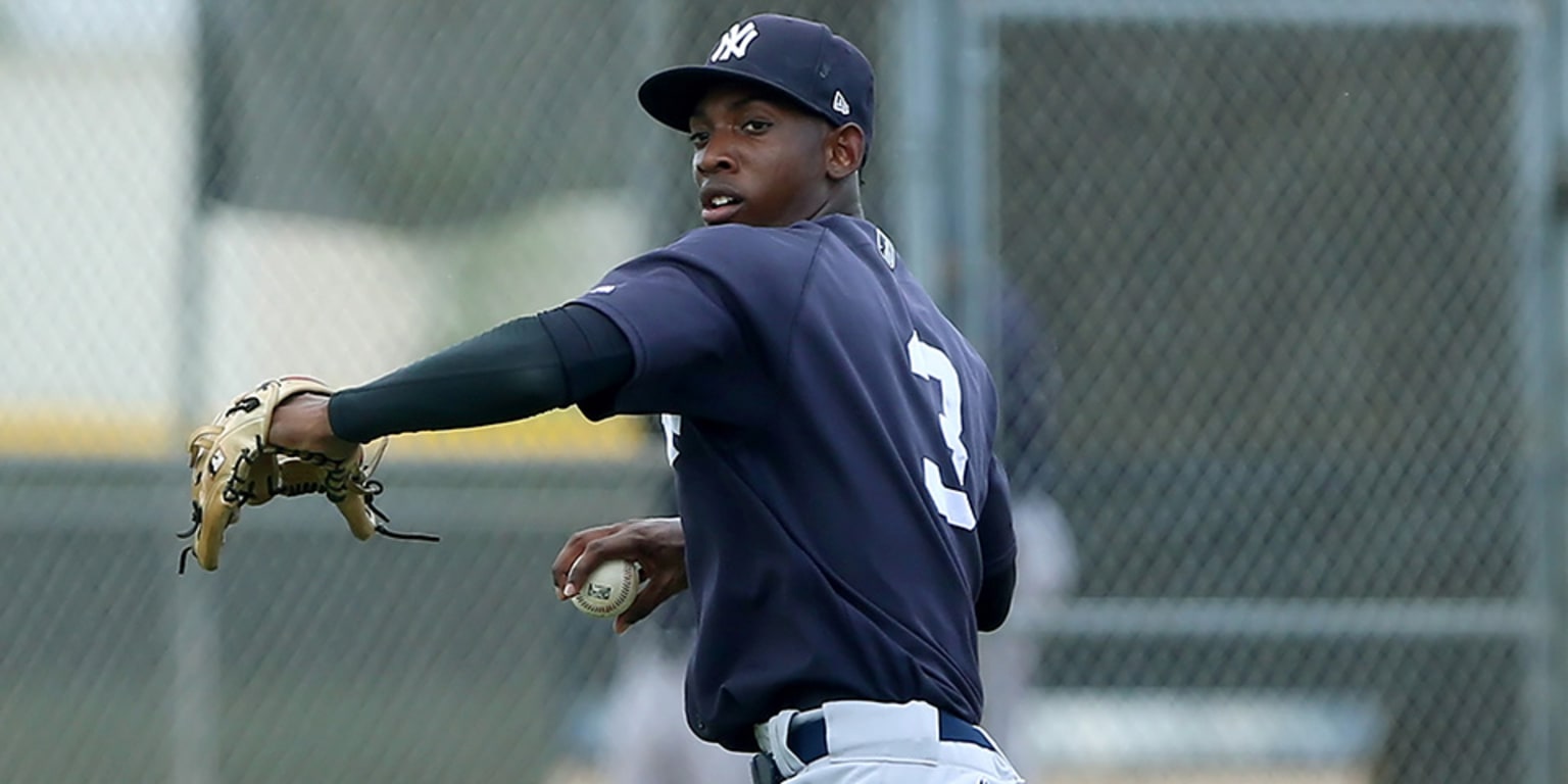 NY Yankees score Dominican partnership - SportsPro