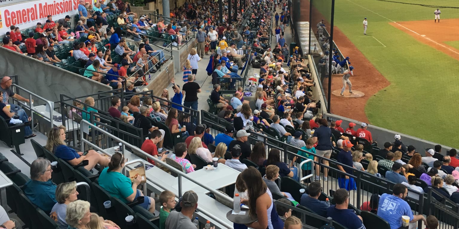 Pulaski Yankees Set New Record Pulaski River Turtles