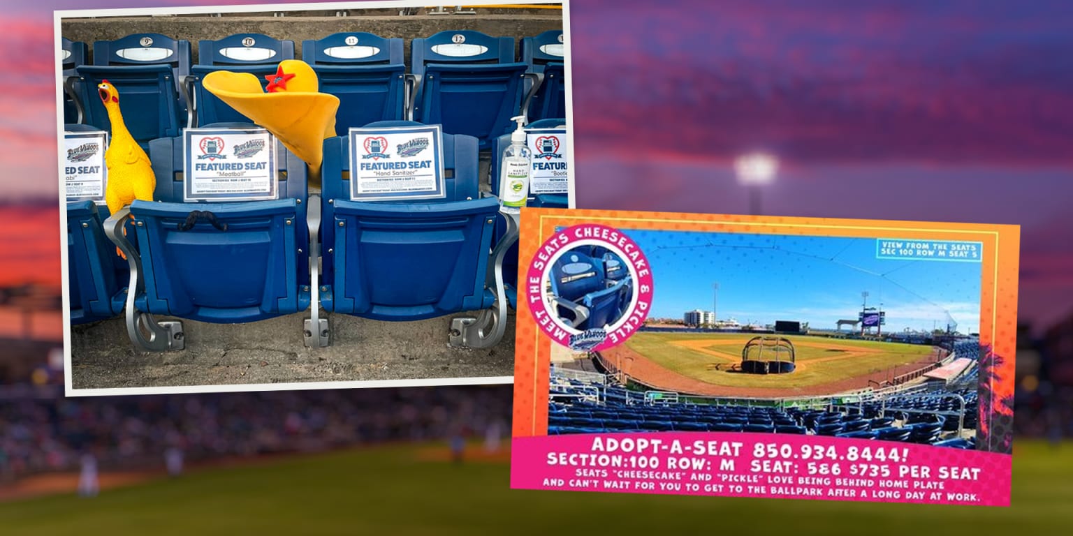 Pensacola Blue Wahoos name seats, put them up for adoption - Vimarsana News