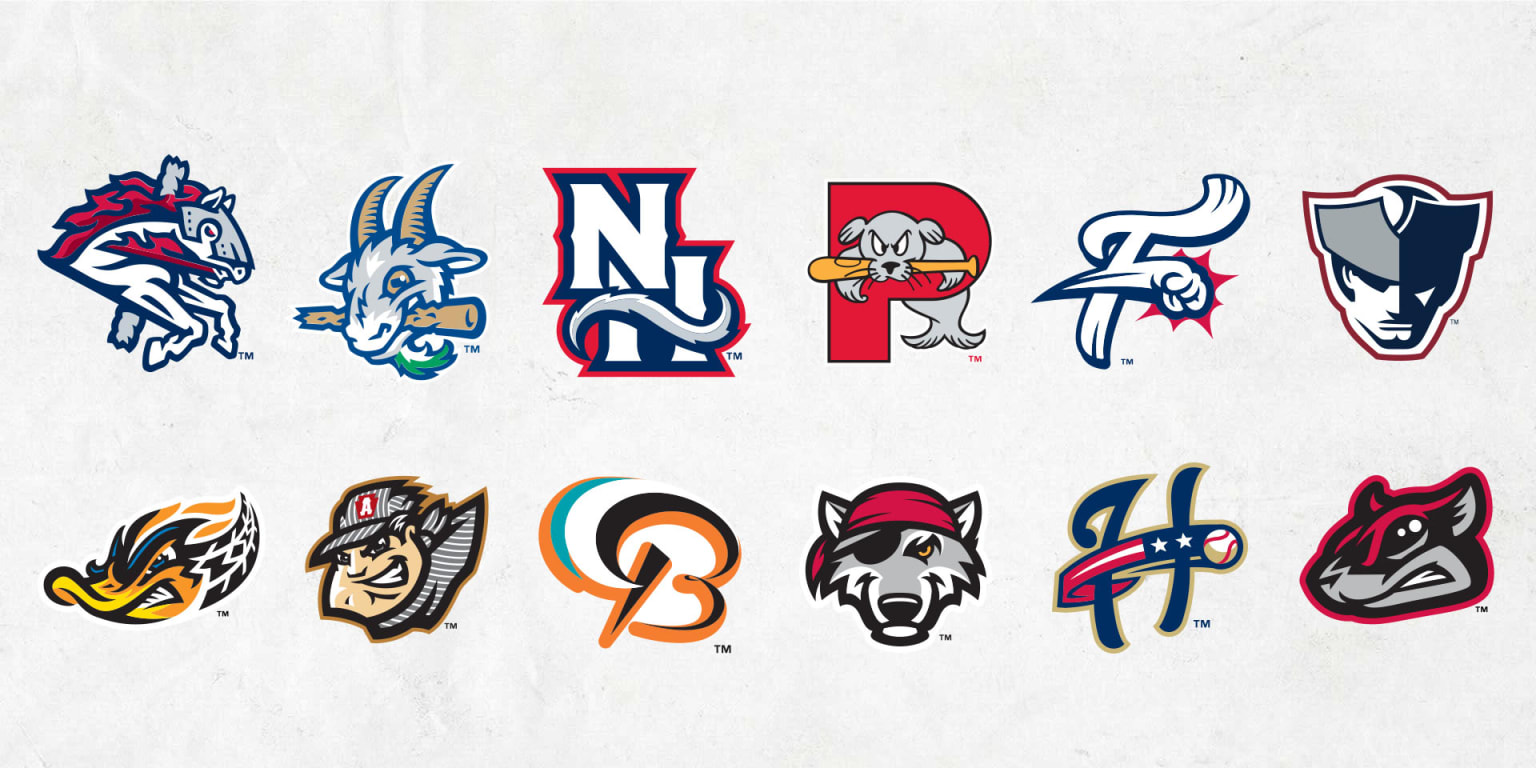 Get to know the Minor League teams in the Low-A East