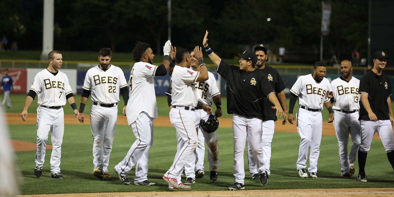 Salt Lake Bees 2019 Season in Review