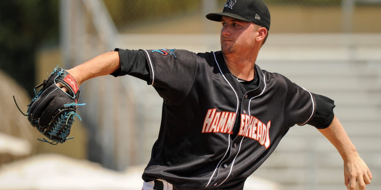Hammerheads sweep doubleheader to earn series win | Hammerheads