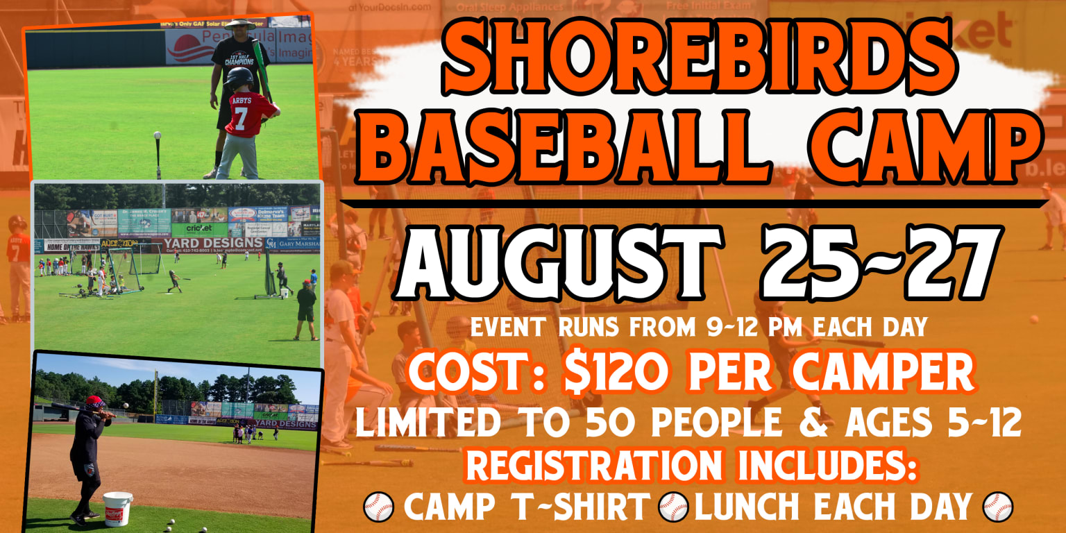 Shorebirds Baseball Camp Set for August 25 27