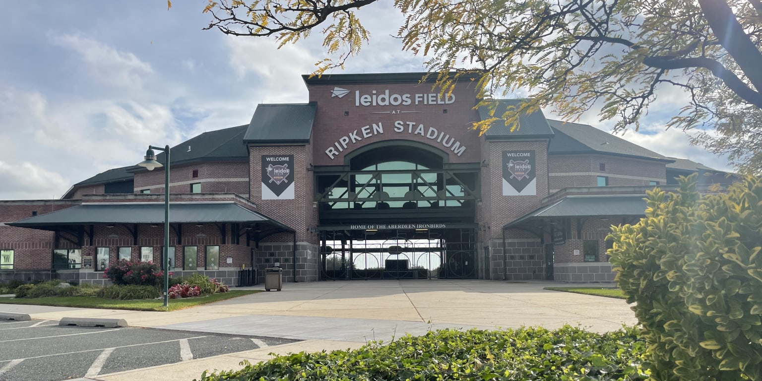 IronBirds debut new look, hope to increase attendance in 2022 - Baltimore  Business Journal