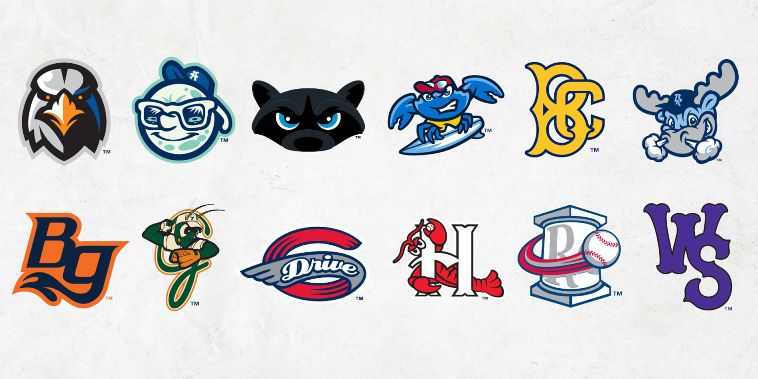 Get to know the Minor League teams in the High-A East - Vimarsana News