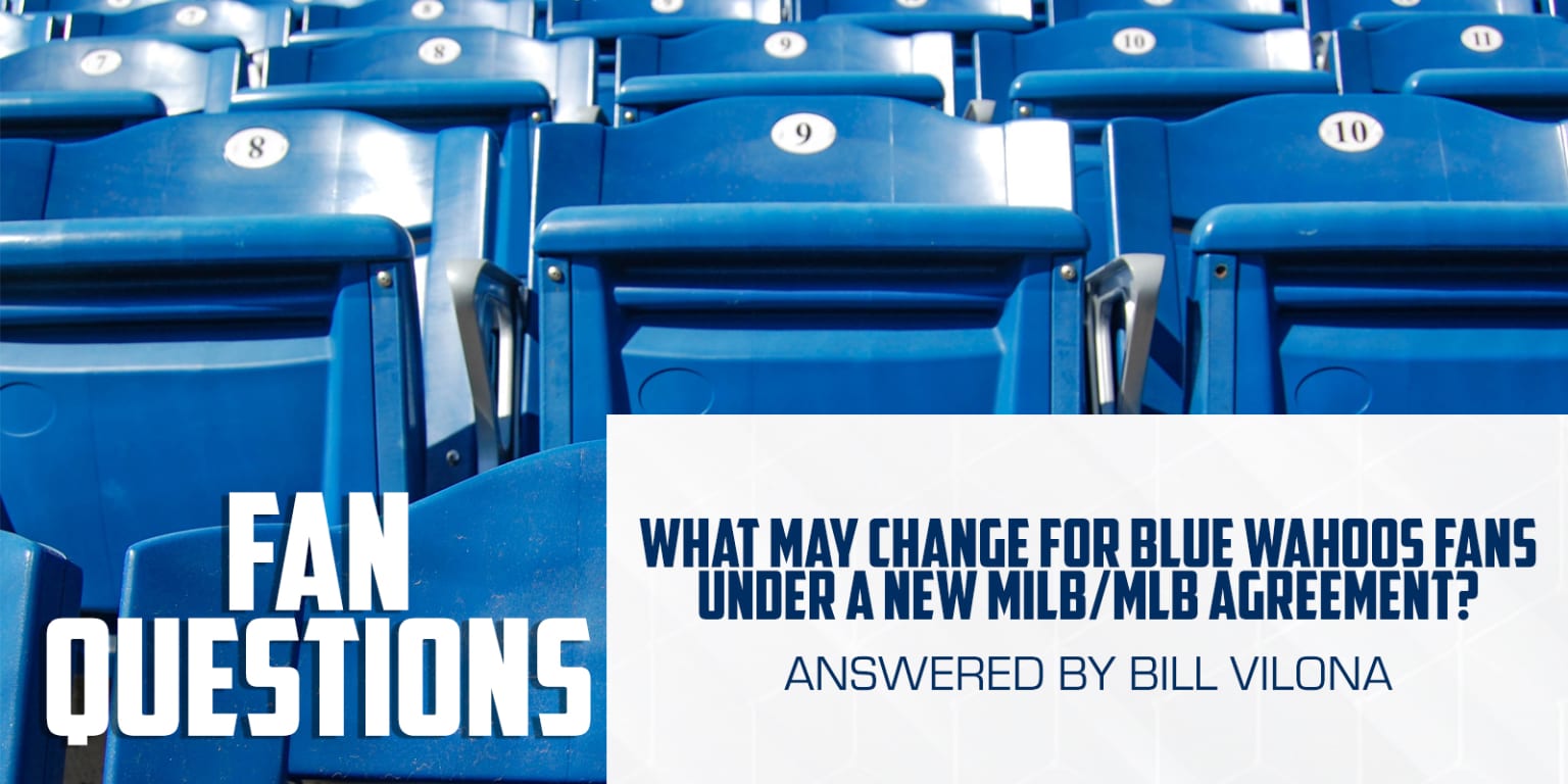 How the Blue Wahoos stayed on the good side of change in Minor League  Baseball