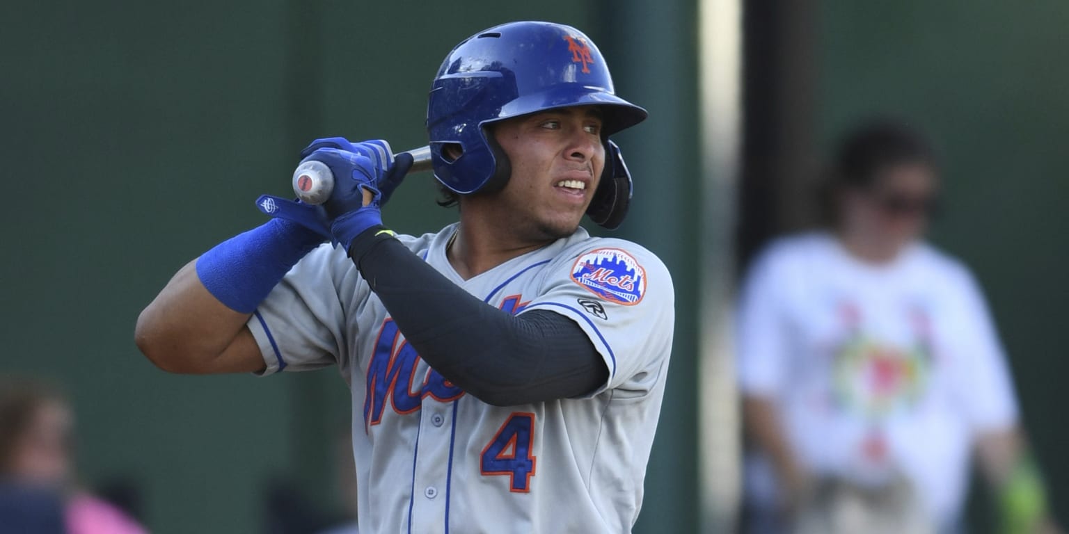 Tim Tebow holding his own in Mets farm system