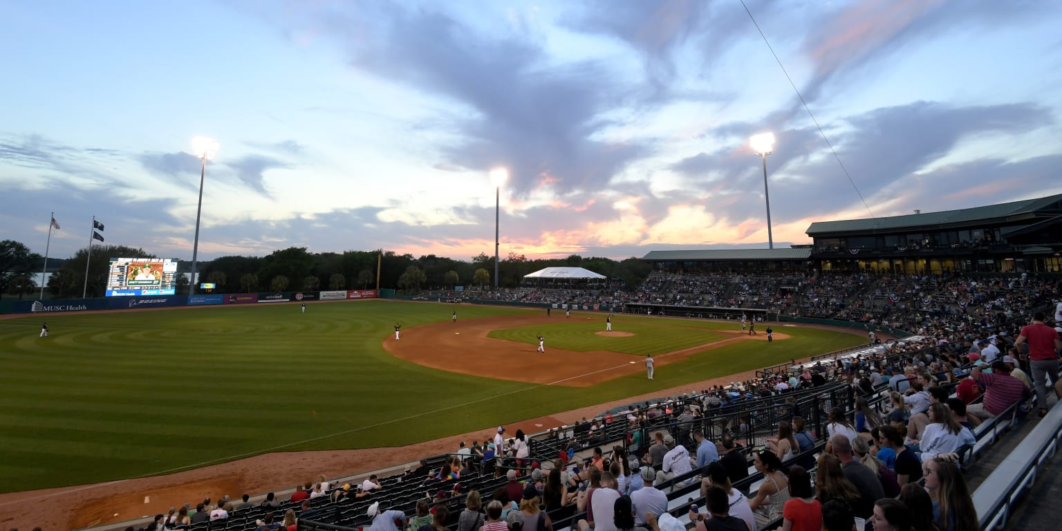 Summer Fun with The Charleston Riverdogs Down At The Joe! 