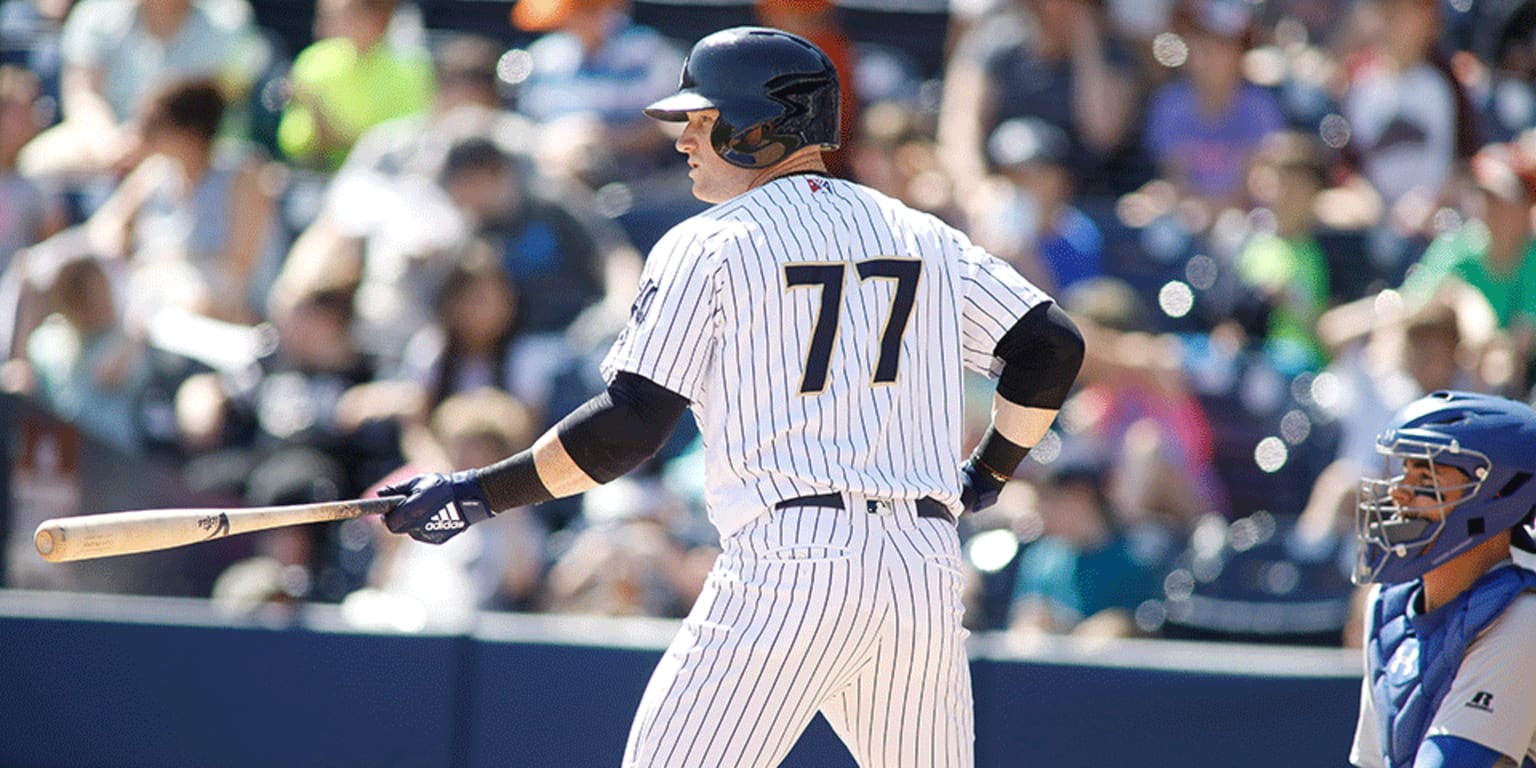 Bats Pawsed: RailRiders Limited to five hits in 2-0 loss | MiLB.com