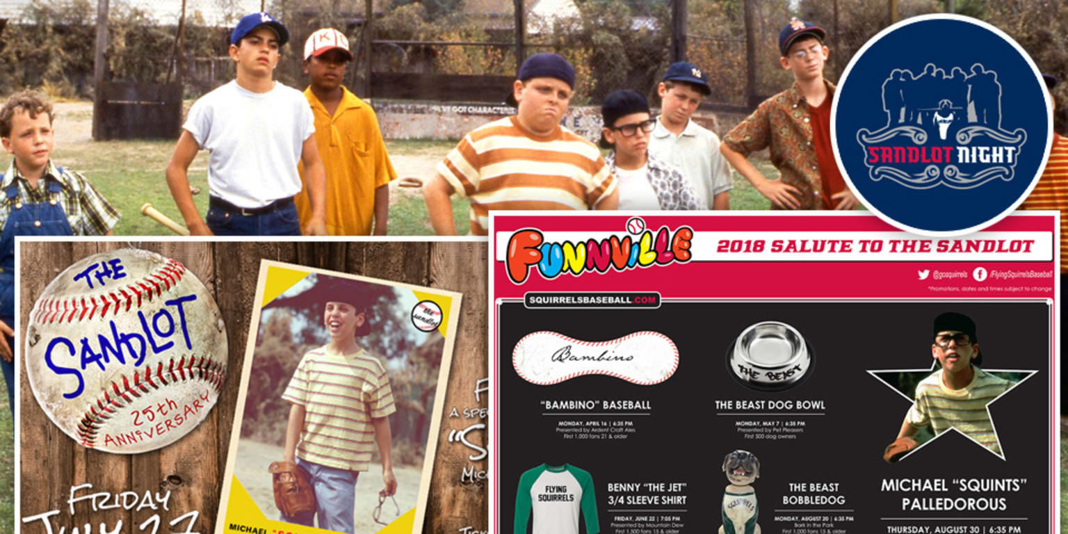 Let's Play Ball! Collection: The Sandlot / The Sandlot 2 / Rookie Of The  Year / Everyone's Hero (Widescreen) 