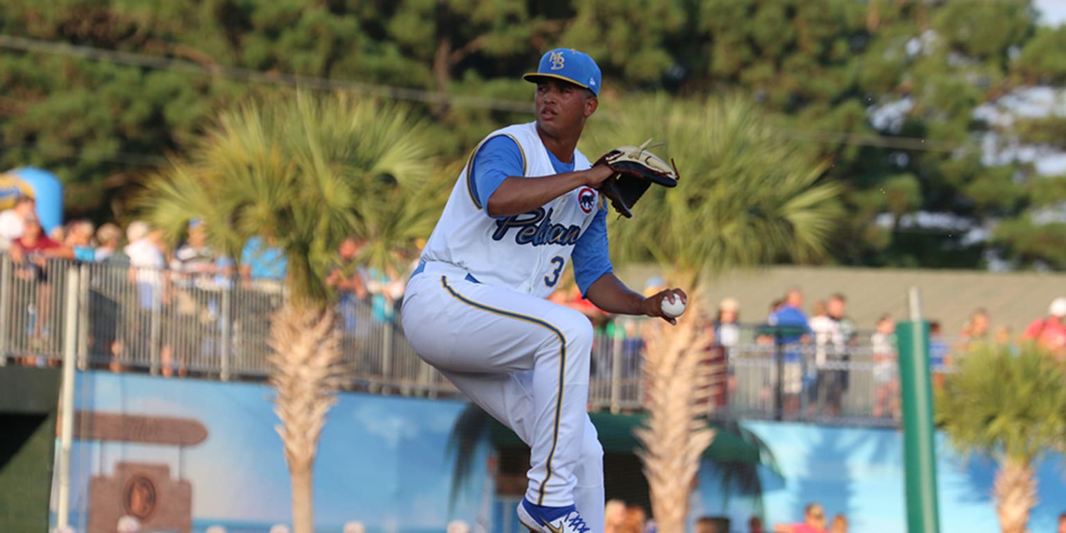 New MiLB Baseball Carolina League MYRTLE BEACH PELICANS CHICAGO