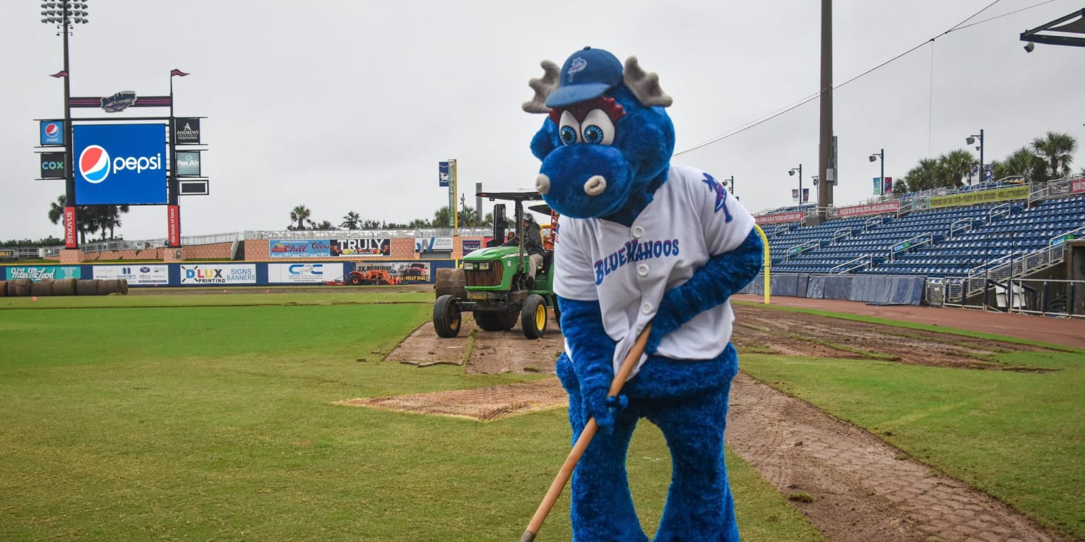 T-Padres' new mascot makes first appearance - Ballpark Digest