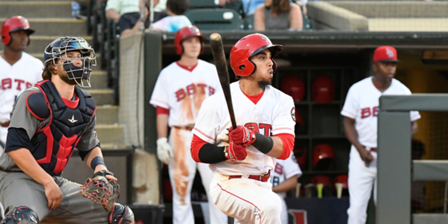 Bats scored early and never looked back