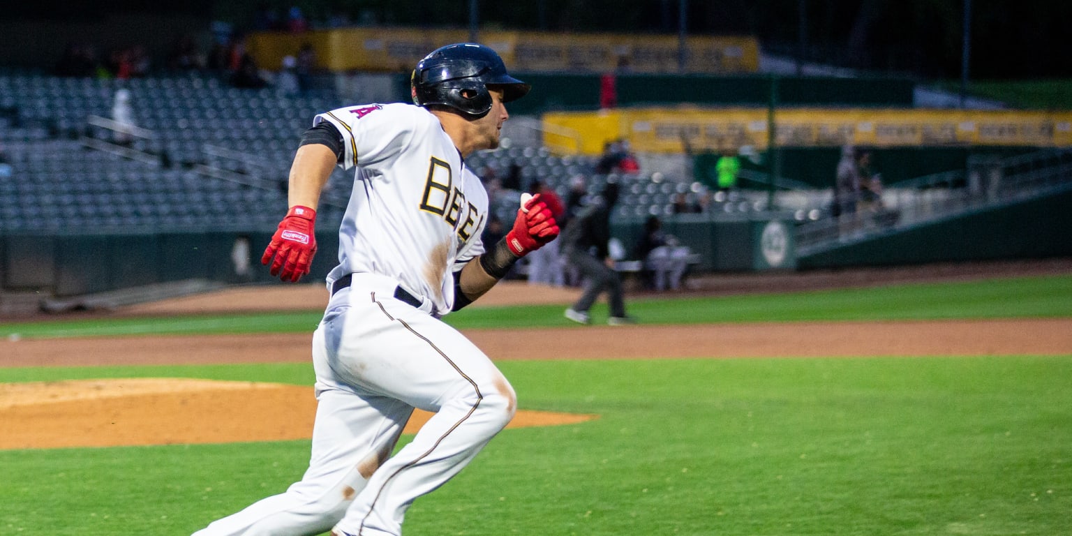 AVIATORS WIN! Game against Salt Lake Bees called after 6.5 innings