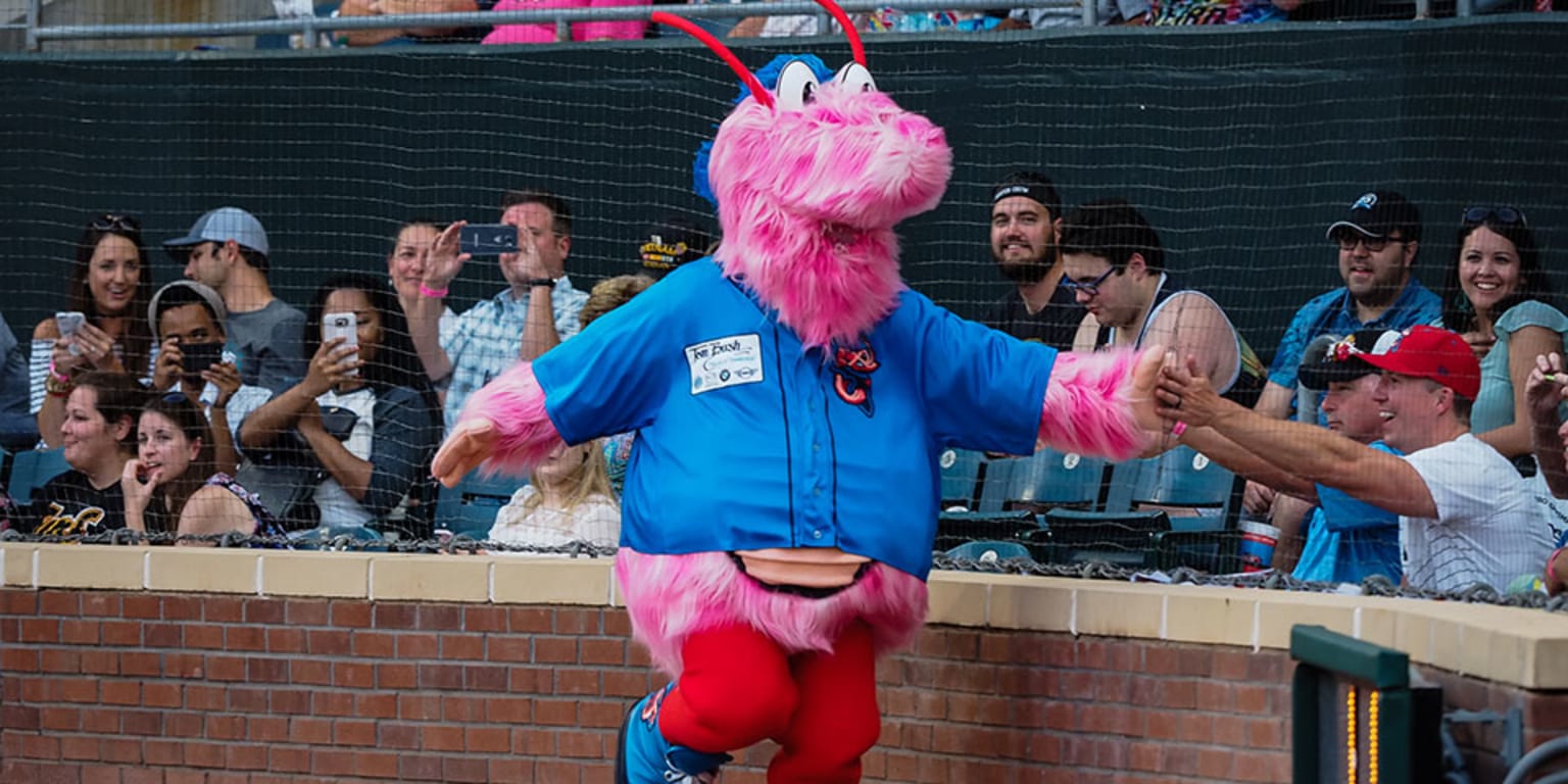 Jumbo Shrimp Announce Name the Mascot Contest