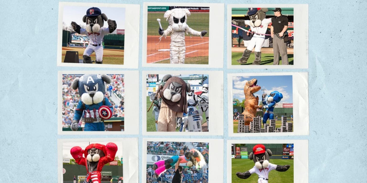 Scripting News: The Mets mascots