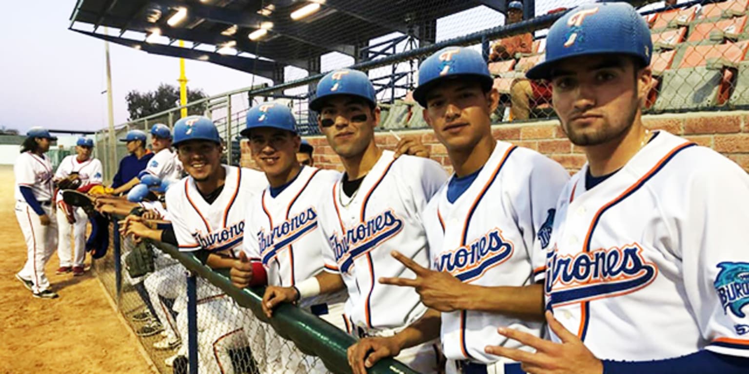 Actividad en la Liga Norte de México