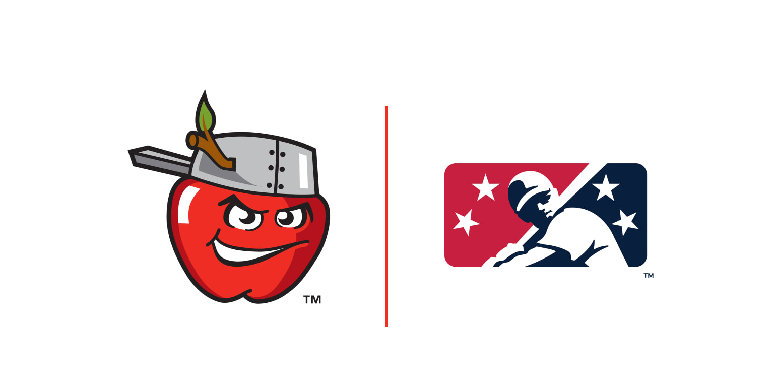 TinCaps Nominated for Major Awards from Minor League Baseball TinCaps