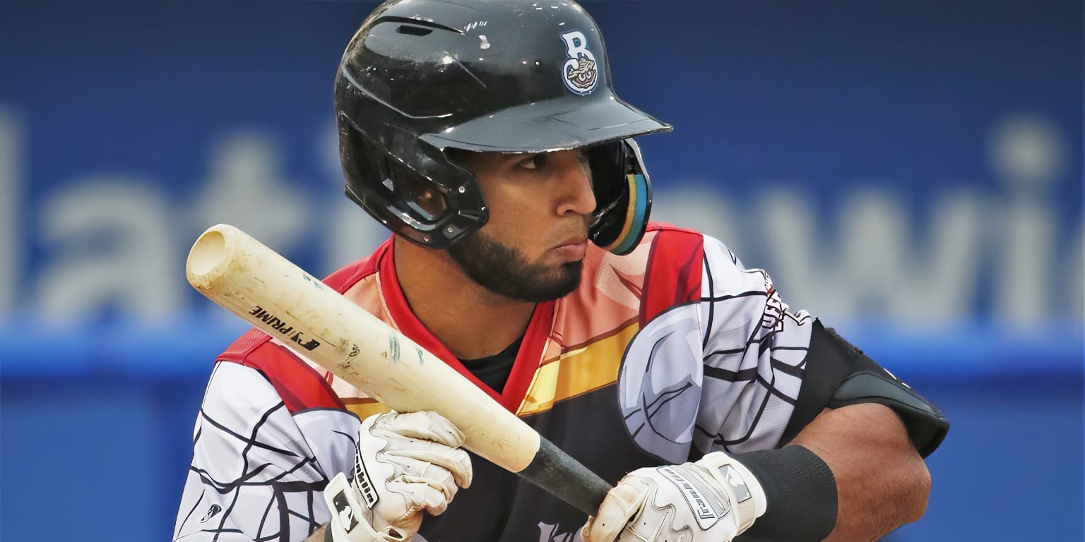 Late Rally Comes Just Short In 8-7 Loss To Wahoos | MiLB.com