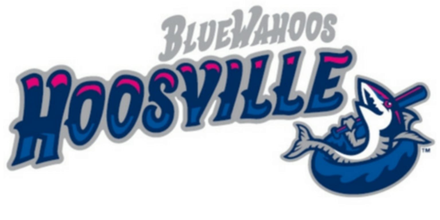 Blue Wahoos Kazoo Airplane Unveiled 