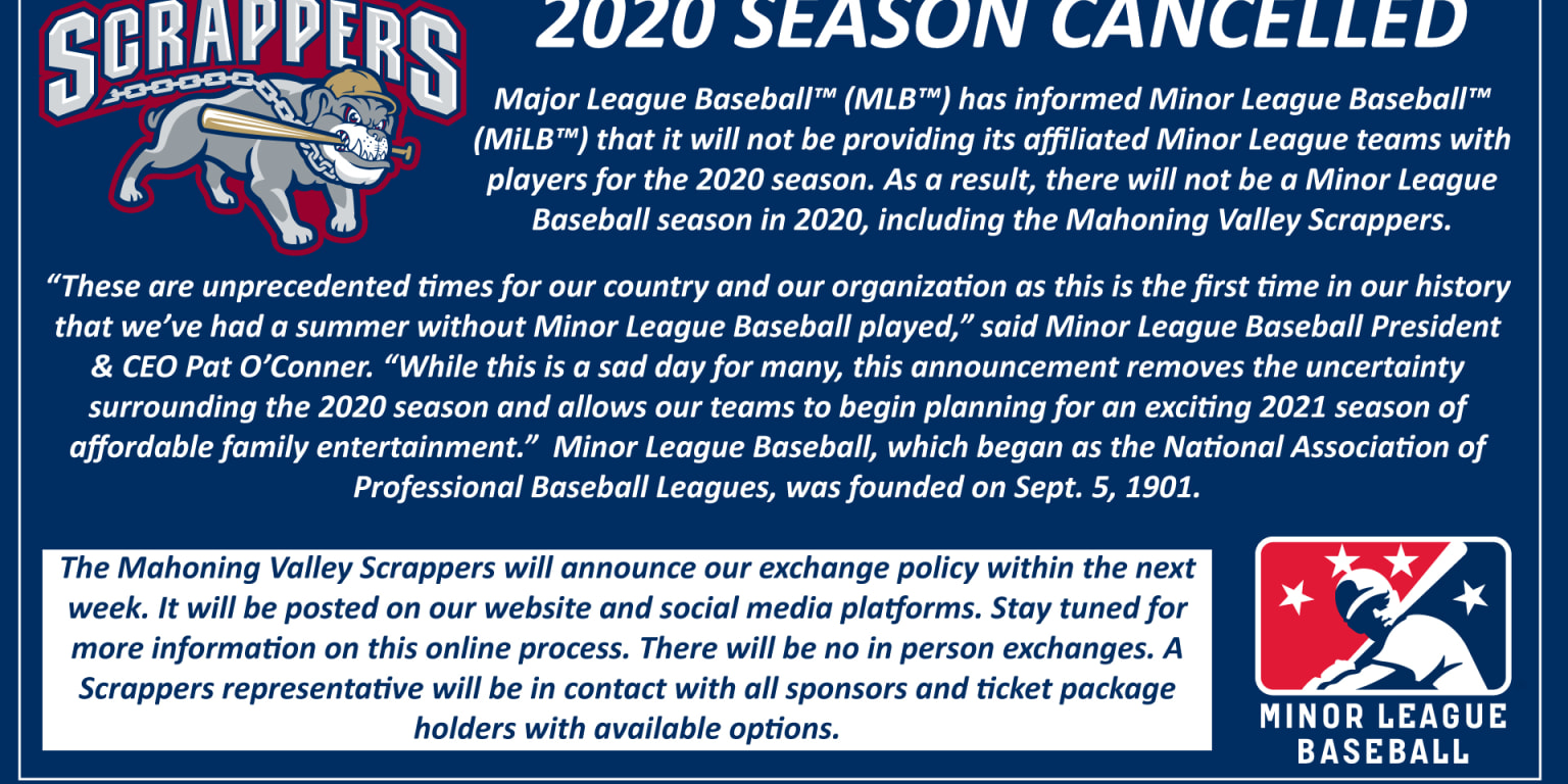 2020 Minor League Baseball season shelved