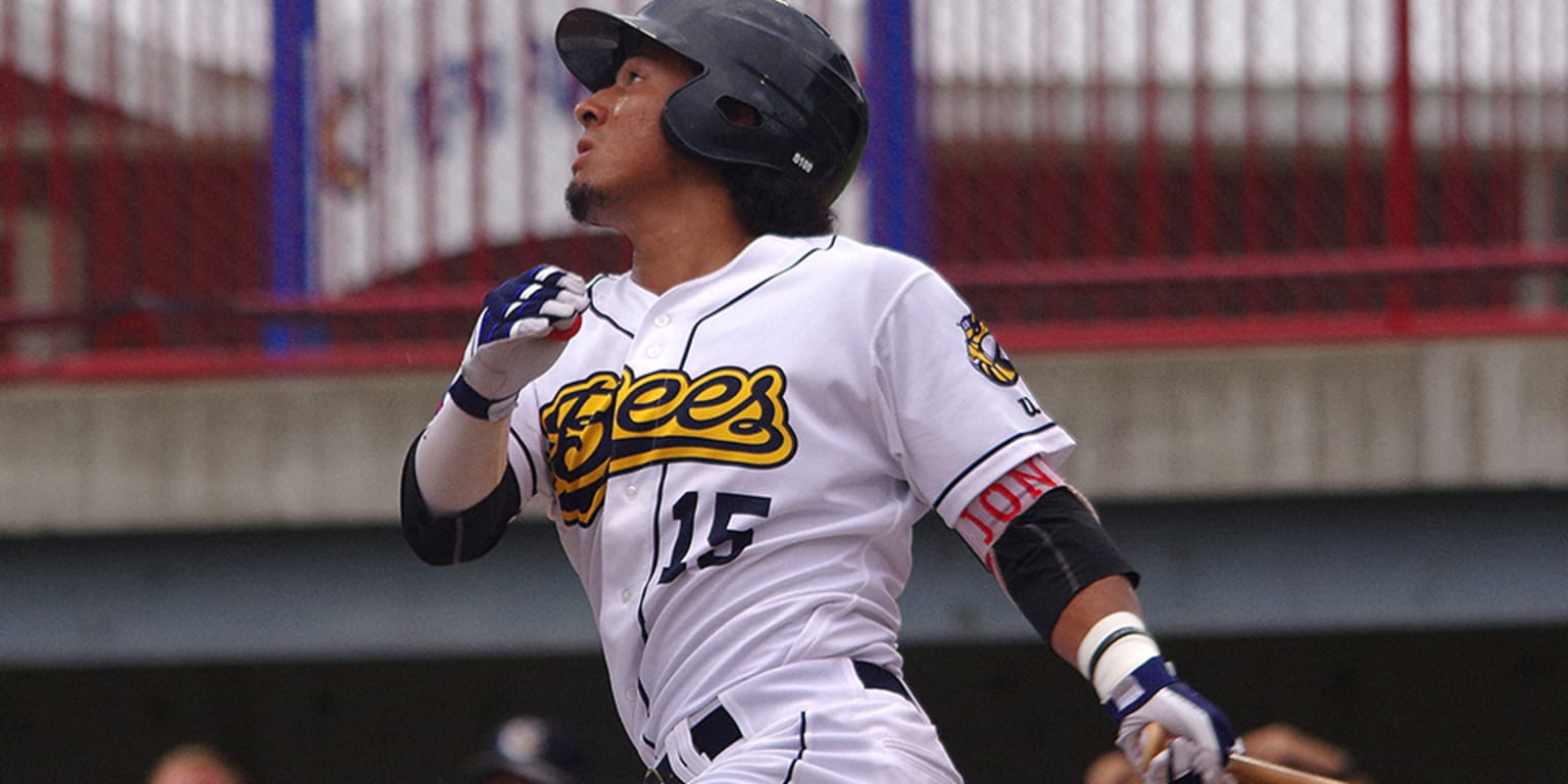 Bees outfielder and Angels prospect Michael Hermosillo hoping to