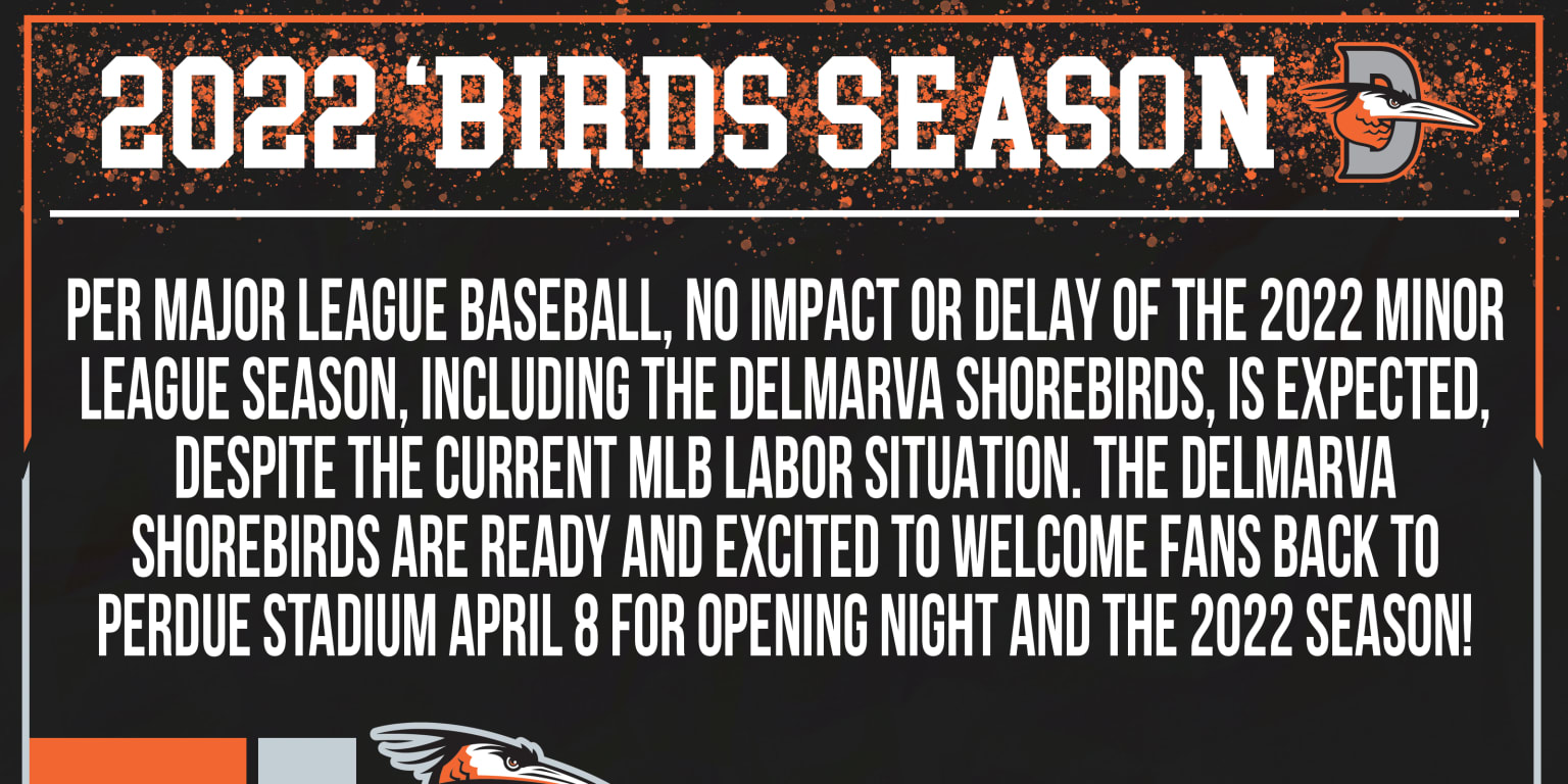 Delmarva Shorebirds Official Statement on 2022 Season!