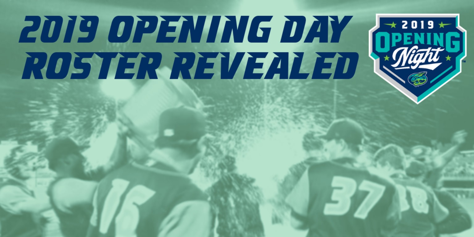 Hillcats Announce 2019 Opening Night Roster