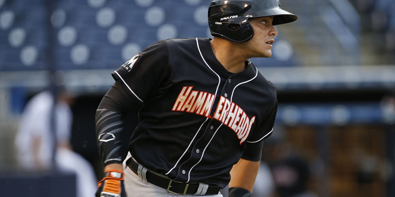 Miami Marlins' Roy Morales suspended for 80 games | MiLB.com