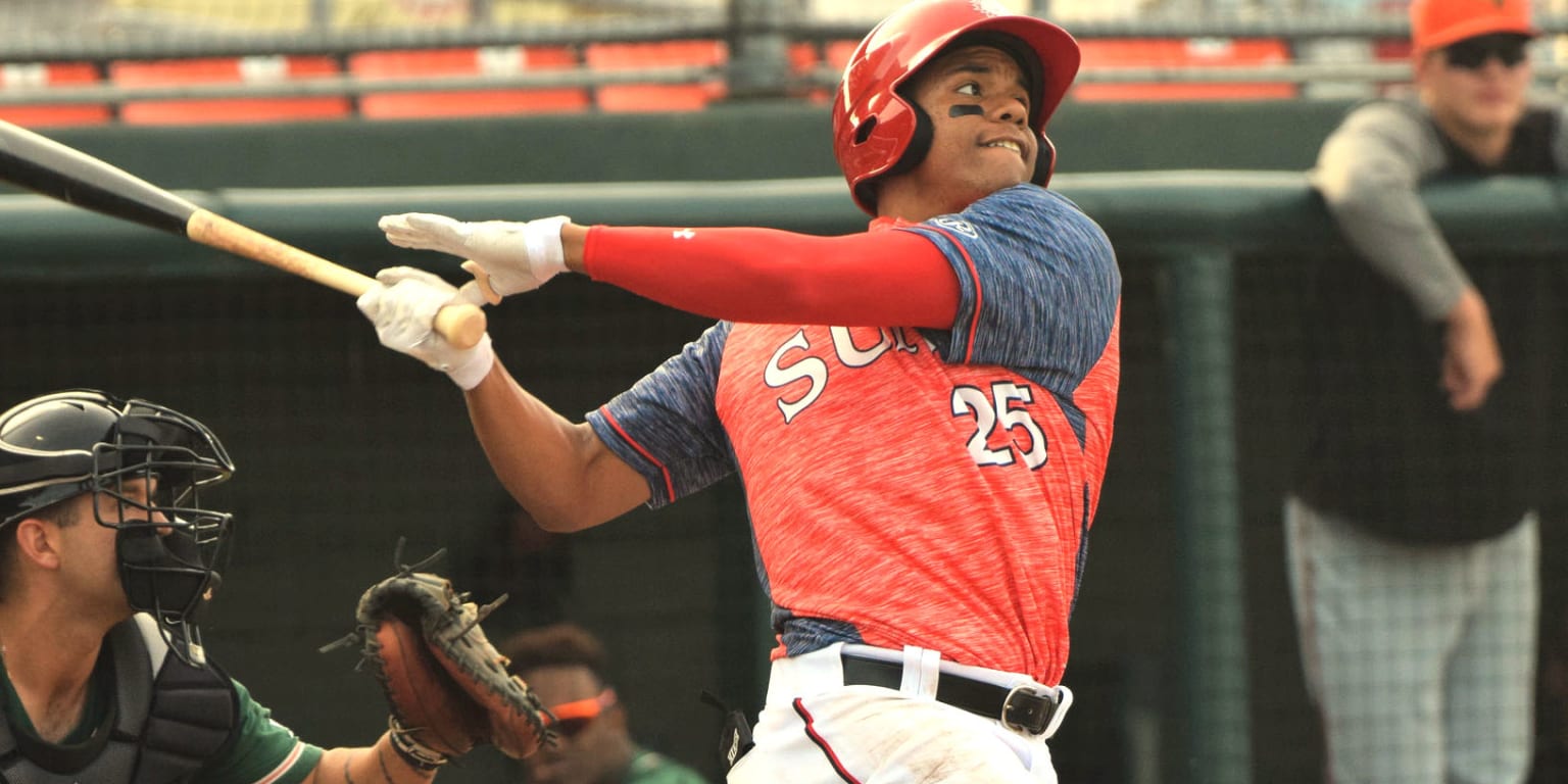 Nationals promote 19-year-old outfielder Juan Soto