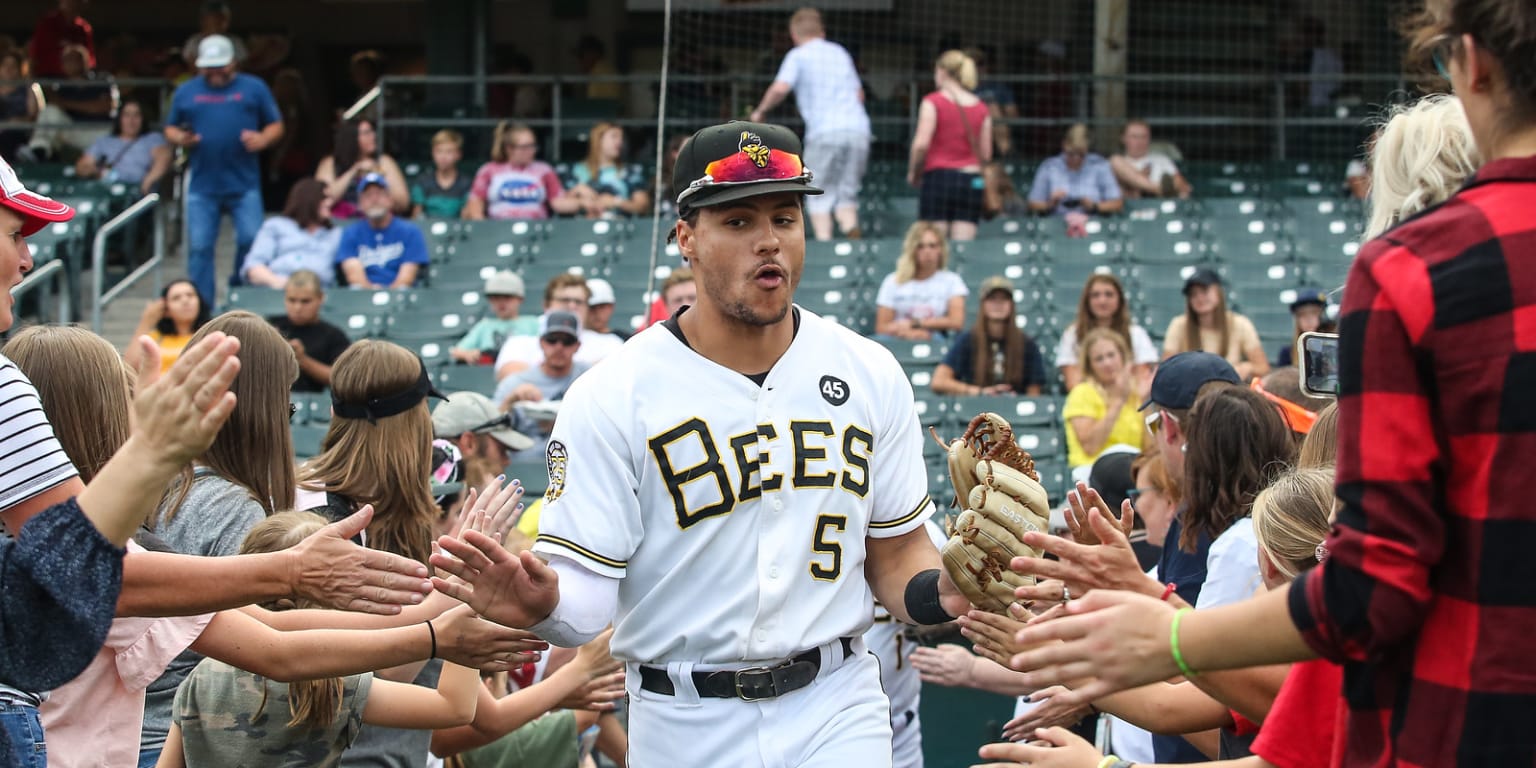 Salt Lake Bees 2019 Season in Review