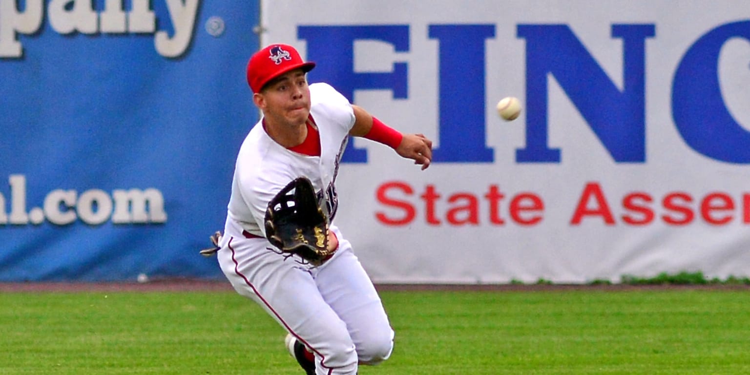 doubledays-drop-opener-against-renegades-milb