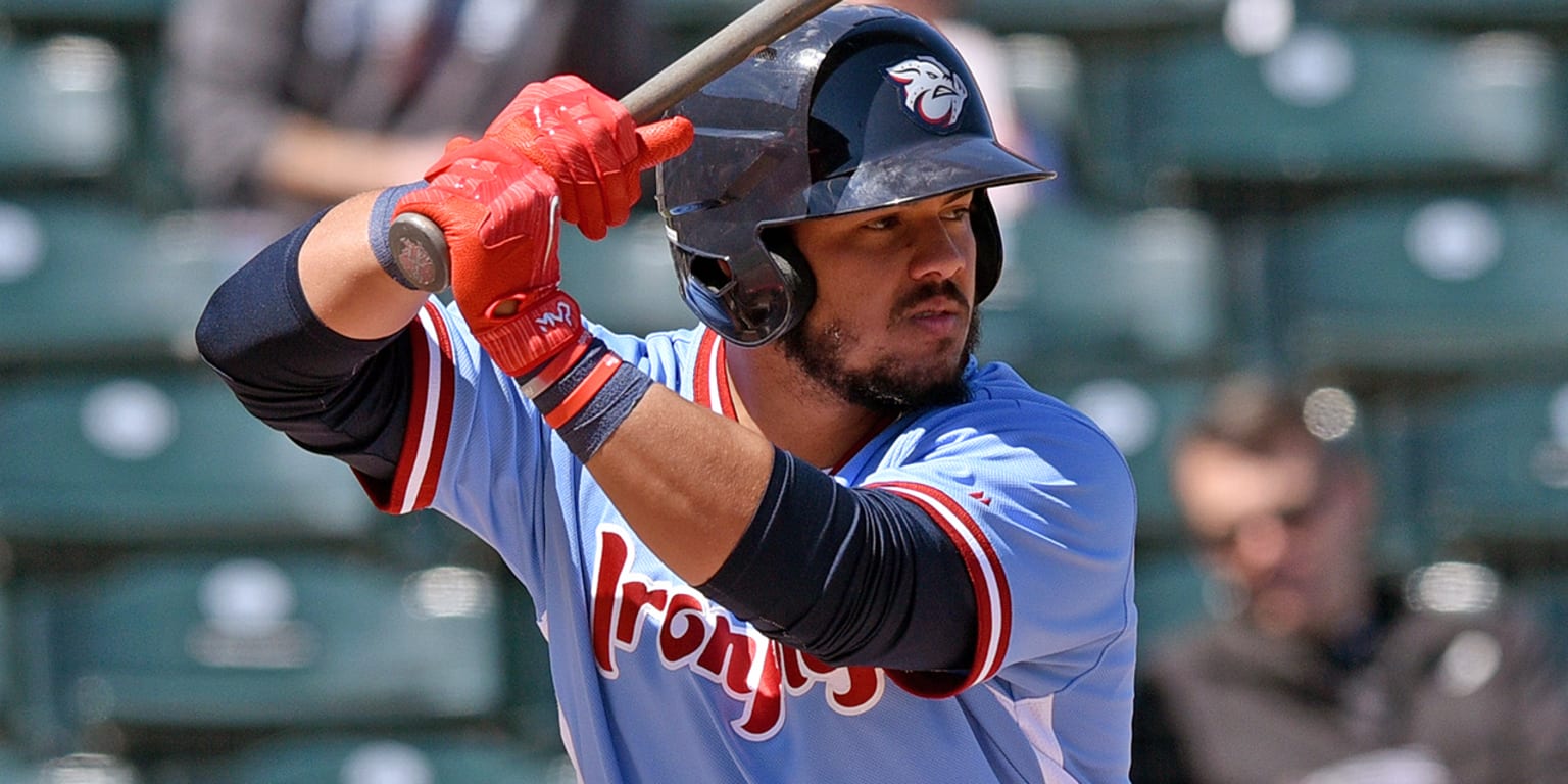 MLB Rookie Profile: Jorge Alfaro, C, Philadelphia Phillies - Minor League  Ball