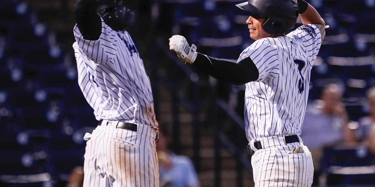 Tampa Tarpons on X: B-1st: HOME RUN!!!! Oswaldo Cabrera hits a TOWERING  solo homer to right! His 7th of the season. End-1st: Tampa 1, Lakeland 0.  #Tarpons #Yankees  / X