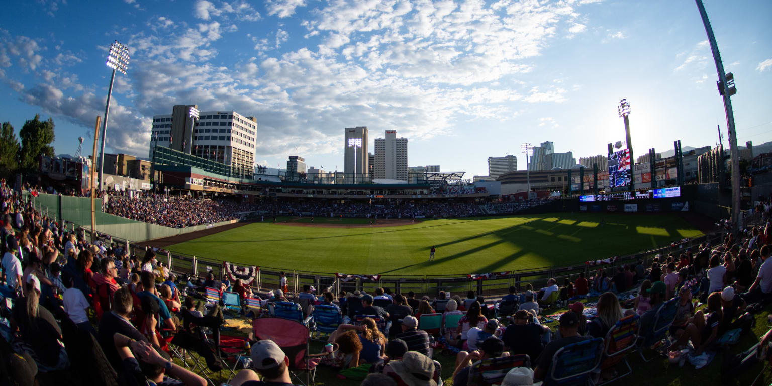 Bees to extend netting at Smith's Ballpark